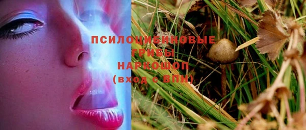 гашиш Абаза