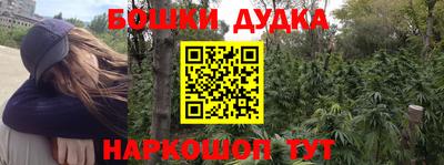 стафф Новокубанск