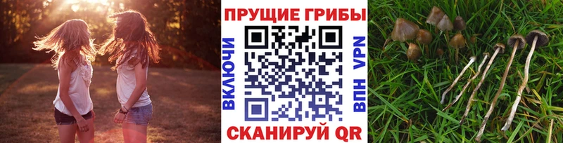 Псилоцибиновые грибы Psilocybine cubensis  наркота  Мегион 