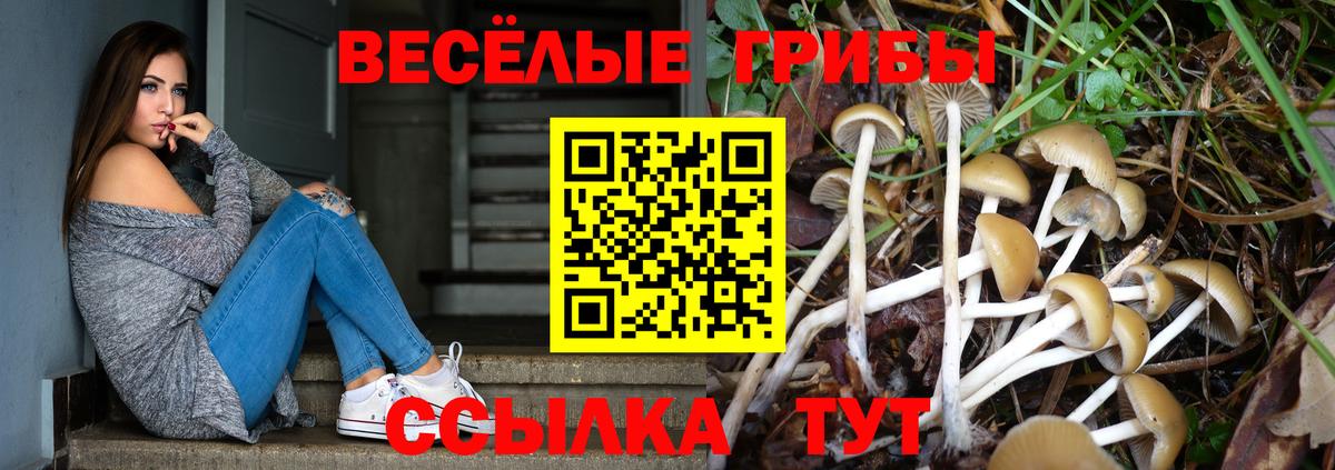 Мегион  как найти закладки  Вход с VPN  Псилоцибиновые грибы прущие грибы 