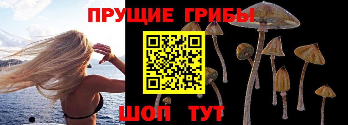 Галлюциногенные грибы GOLDEN TEACHER Мегион