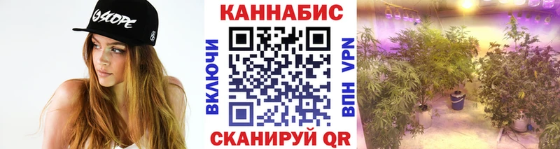 Бошки Шишки гибрид  дарнет шоп  Мегион 